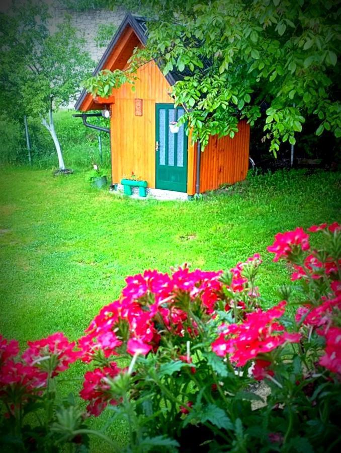Apartamento Ivona - Kuca Za Odmor Perusic - Stara Lika Exterior foto