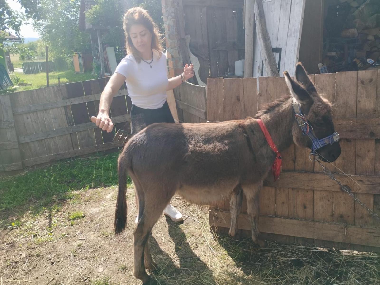 Apartamento Ivona - Kuca Za Odmor Perusic - Stara Lika Exterior foto
