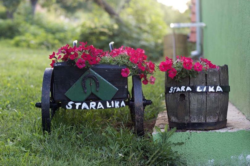 Apartamento Ivona - Kuca Za Odmor Perusic - Stara Lika Exterior foto