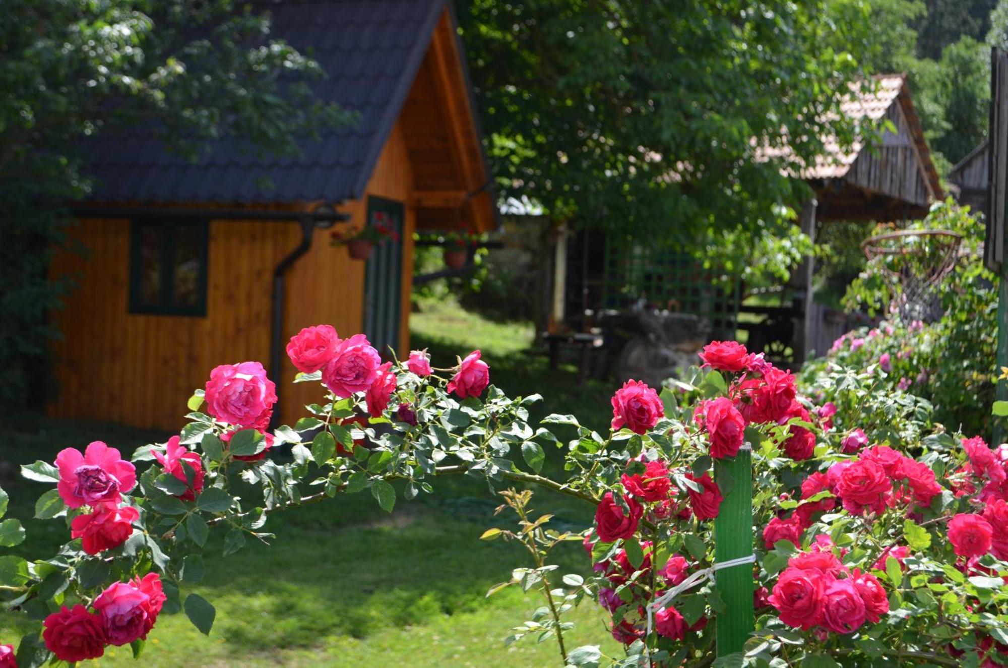Apartamento Ivona - Kuca Za Odmor Perusic - Stara Lika Exterior foto